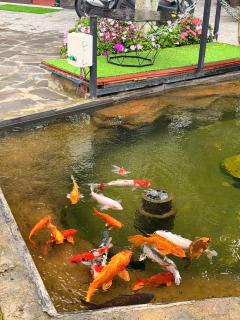 Hoàng Tuấn house - 7