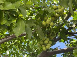 Ocean Breeze House - 5