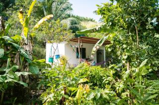 Finca Natural Mystic - 4