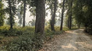 A Terrasse Retreat Resort Siliguri - 5