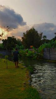 Accommodation with a fish pond and rice fields - 6