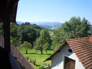 Gästehaus Zur schönen Aussicht - Wies - 3