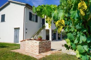 Netik Apartment Cortona - Tuscan Vineyard escape - 0