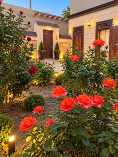 Shodlik Guest House - 5