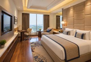 Hotel Oxmo Delhi Airport - 2
