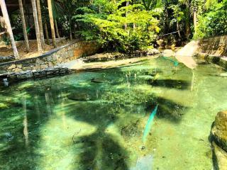 Ella Nature Park Resort - 5