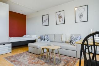 Cozy Studio, Free Parking By Lapland Host - 9