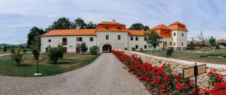 Ugron Castle Fiatfalva - 8