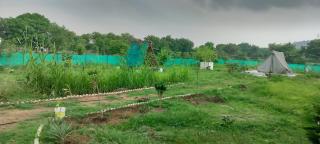 Tent Camping near Khajuraho Temples - 5