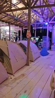 Forest Island - 4