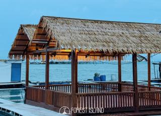 Forest Island - 3