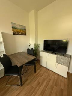 FLEX Aparts - große, möblierte 3-Raum Wohnung in Zwickau - 8