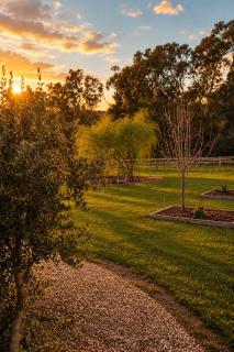 Starlight Lodge - 9