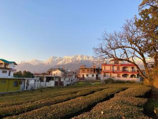 BelleVue Stays - Palampur - 8