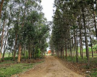 TheResidence Kasese - 5
