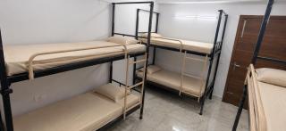 Happy Hippo Hostel - 3