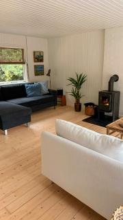 Traditional summer cottage near Bratten beach - 8