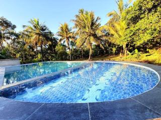 Freedom Haven - 2