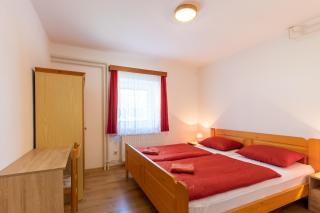 Bohinj Star Apartments - 1