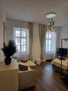 Sopron Central Loft 2 - 2