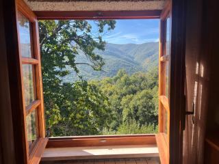 Casa nel bosco - 2