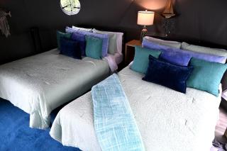 Unique Glamping Dome with Private Firepit Luxury Escape in Salt Lick, Kentucky - 4