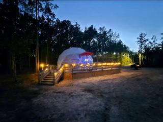 Secluded Geodesic Dome with Private Pond & Fire Pit Near Kountze, Texas - 0
