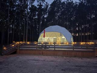 Secluded Geodesic Dome with Private Pond & Fire Pit Near Kountze, Texas - 4
