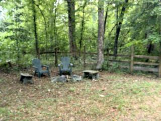 Peaceful Forest Cabin with Private Spring Access near Fort White, Columbia County, Florida - 8