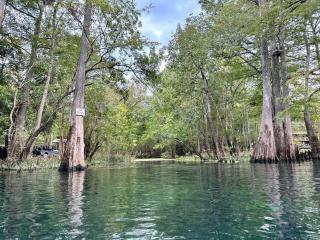 Peaceful Forest Cabin with Private Spring Access near Fort White, Columbia County, Florida - 7