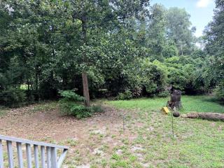 Peaceful Forest Cabin with Private Spring Access near Fort White, Columbia County, Florida - 5