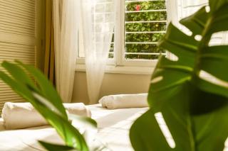 Serene Retreat with Lush Garden - 7
