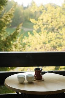 Apartment Satya - 5