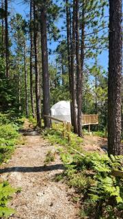 Cozy Geodesic Dome Retreat in Paradise, Michigan, Surrounded by Forests & Nature - 8