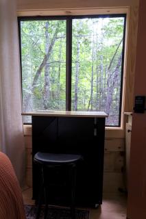 Off-Grid Forest Cabin with Scenic Window Views & Charm in Jackson, Maine - 2