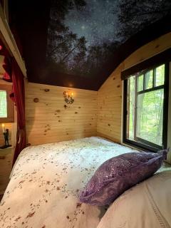 Rustic Off-Grid Wagon With Cozy Outdoor Fireplace Stay in Red Creek, New York - 8