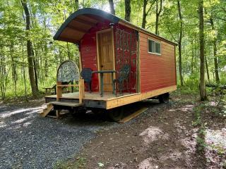 Rustic Off-Grid Wagon With Cozy Outdoor Fireplace Stay in Red Creek, New York - 0