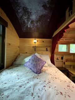 Rustic Off-Grid Wagon With Cozy Outdoor Fireplace Stay in Red Creek, New York - 5