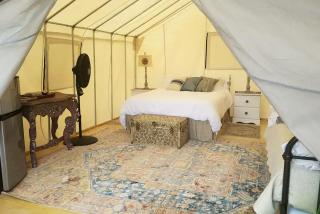 Safari Tent Getaway on a Farm near Buttermilk Falls State Park in New York - 6