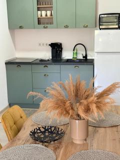 Cozy Chick Studio at Jokai Apartments - 9
