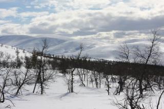 Kyrön Loma - Kyrö - 5