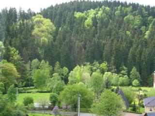 Sunny Escape in Borstendorf - 7