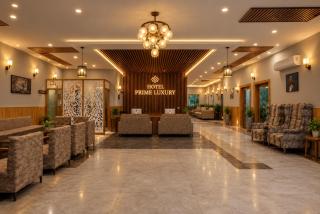 Hotel Prime Luxury Delhi Airport - 4
