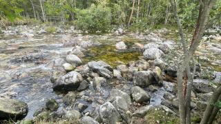Songesand Camp - 1