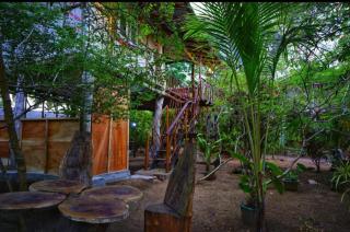 The Travel Tree Hostel - 6