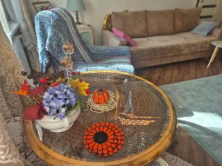 Apartament Nel Zabobrze - 7