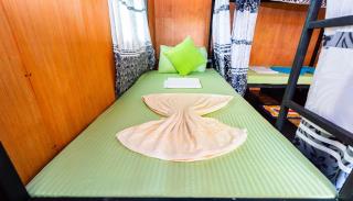 The Travel Tree Hostel - 3