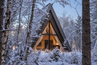 Forest Suites by Holmen Husky - 3