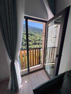 Guesthouse Bacha Lia - 9