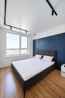 Blue Wine Apartments, projector, karaoke, PS5, smart lock - 8